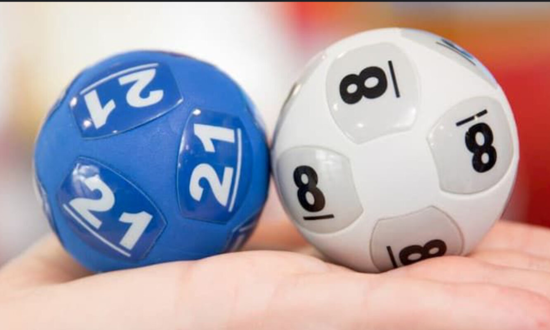 Các bí quyết nuôi lô cực hay